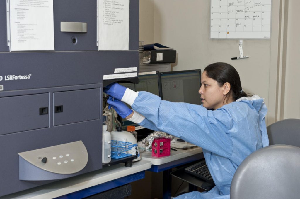 Dr. Celina Abreu using the LSRF Fortessa