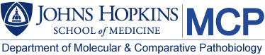The Department of Molecular & Comparative Pathobiology